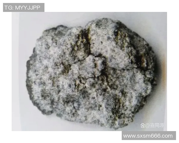 张家口足球球星的崛起与贡献探索及其在中国足球发展中的独特地位