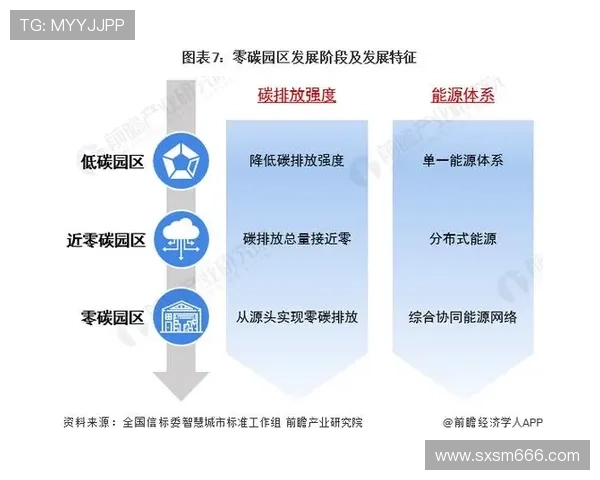 深圳排球队运营分析：成功经验与面临挑战的深度探讨