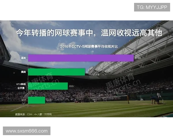 深圳网球队技术表现分析与数据解读探讨