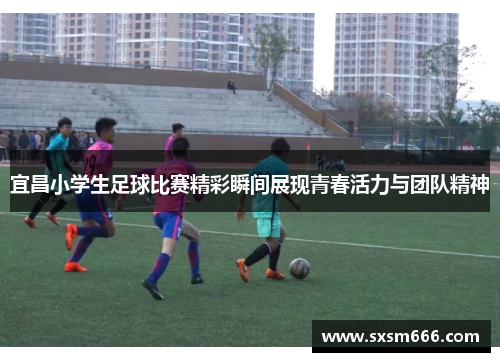 宜昌小学生足球比赛精彩瞬间展现青春活力与团队精神