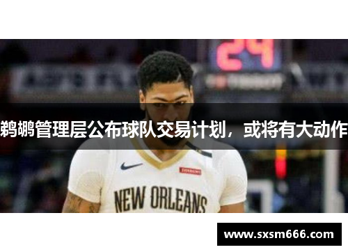鹈鹕管理层公布球队交易计划，或将有大动作